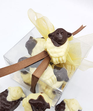 Chocolade Schapen in box 200 gram - Chocoladebox.nl
